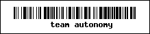 team autonomy